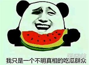 朝阳吃瓜群众什么意思 吃瓜是什么意思,网络热词“吃瓜”背后的文化现象