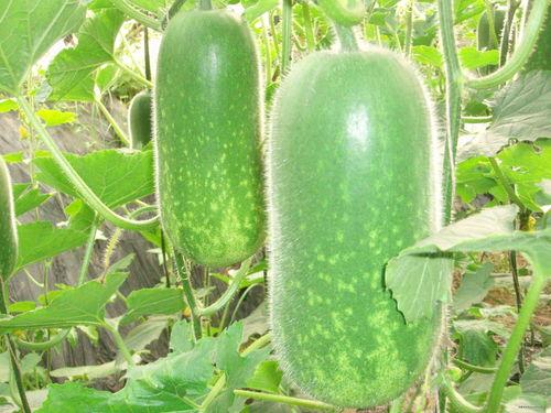 2025最新热点素材 热门大瓜在线,揭秘娱乐圈、科技圈、社会热点背后的惊人真相